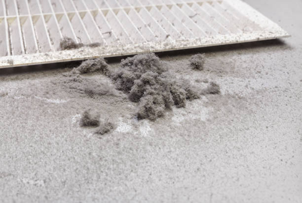 Professional Airduct Cleaning in Big Rapids, MI