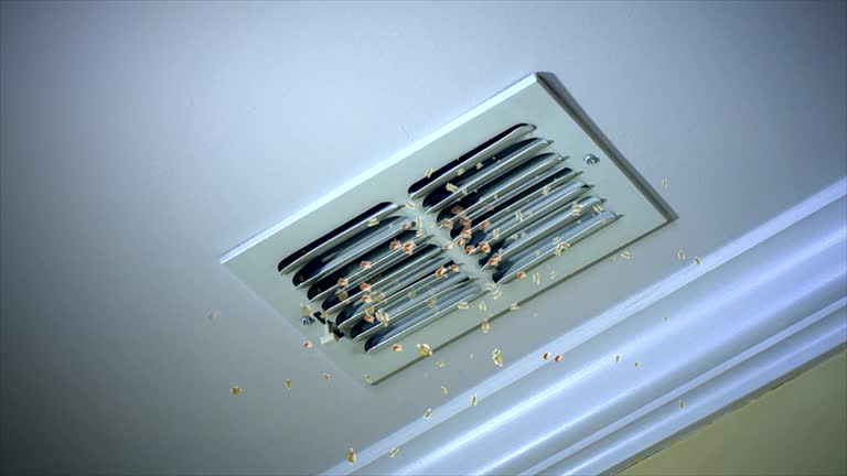 Professional Airduct Cleaning in Big Rapids, MI