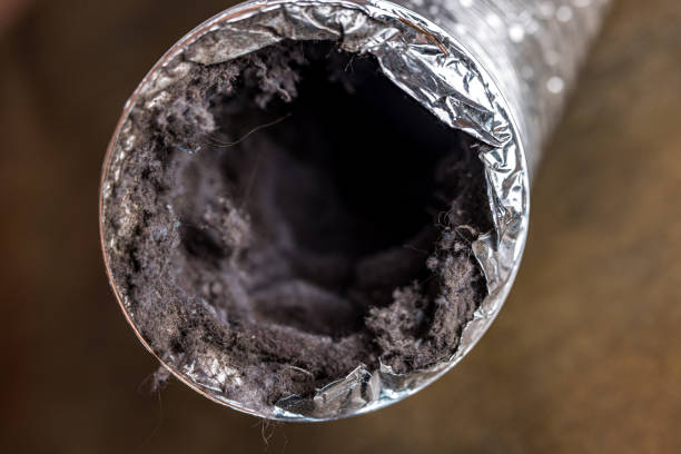 Best Air Duct Cleaning Near Me  in Big Rapids, MI